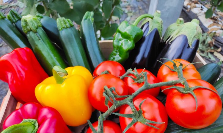 Auf diese beiden Kriterien legen europäische Verbraucher beim Kauf von Obst und Gemüse besonders Wert